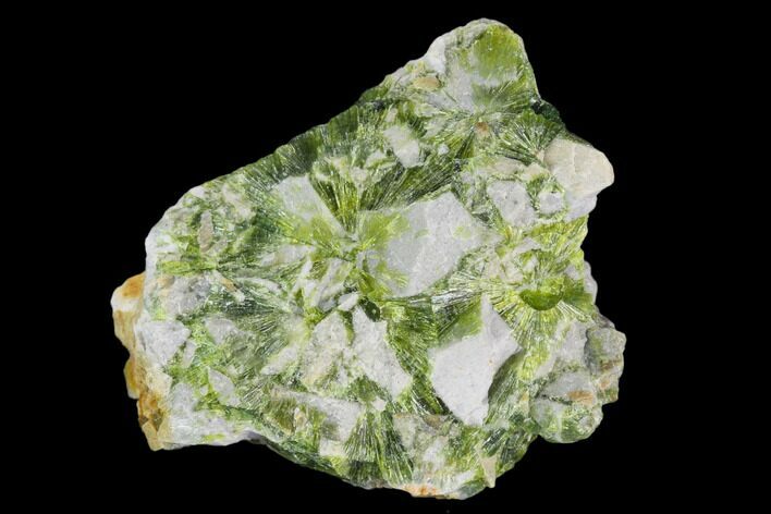 Radiating, Green Wavellite Crystal Aggregation - Arkansas #127117